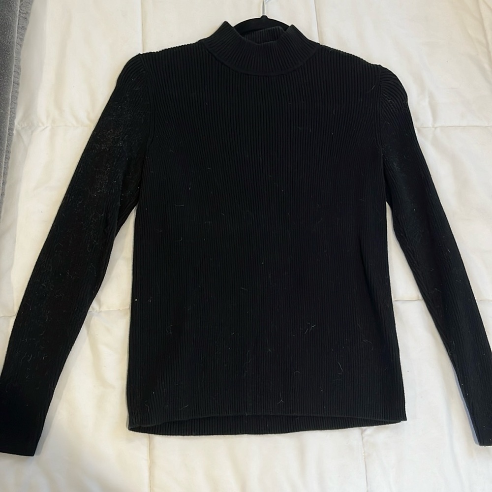 Karen Scott turtle neck sweater